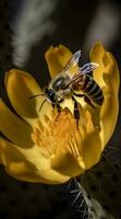 hermosa abeja Bebiendo néctar desde flor ai generado imagen foto