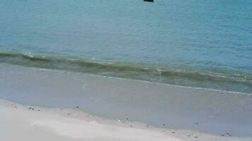 magnifique plage océan vagues soufflant sur le plage. video