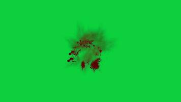 Animated red blood splatter effect, bleeding effects overlay isolated on green screen background video