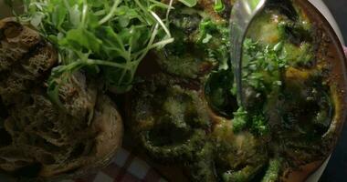 Having meal with escargot dish video