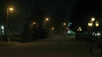 Night view of snowy avenue with fir trees and lanterns video