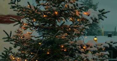 soir vue de Noël arbre avec lumières video