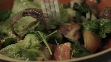 en mangeant salade avec poulpe et des légumes video