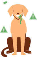 rabia perro clipart png