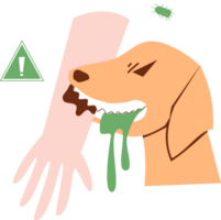 rabia perro clipart png