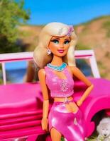 Barbie reina imágenes foto