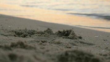 sand och hav vågor på solnedgång video