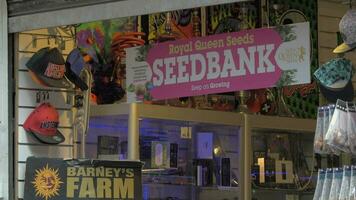 Store with hookahs and Seed Bank banner video