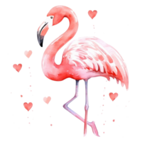 Watercolor pink flamingo isolated png