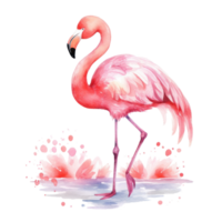 waterverf roze flamingo geïsoleerd png