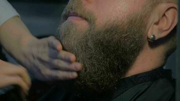 Brushing beard in barbershop video