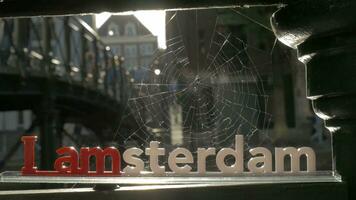 ik Amsterdam en spin web video