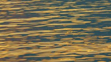 Water sparkling with evening sun light video