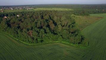 Aerial countryside scene in Russia video