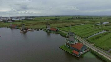 Windmills and fields in Dutch village, aerial view video