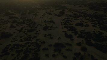 Sandy landscape at sunset, aerial view video