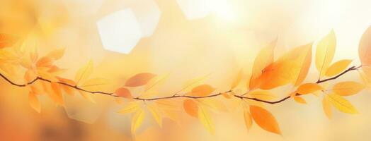 Abstract background with autumn leaves photo