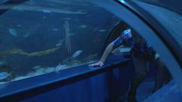 Child walking in water tunnel of oceanarium video