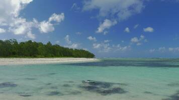 Scene with island coast and blue lagoon video