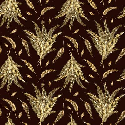 Wheat ear bunch watercolor seamless pattern isolated on black background. Spikelet of rye, barley, grains hand drawn. Design element for textile, paper, packaging, label grocery, bakery, wrapping