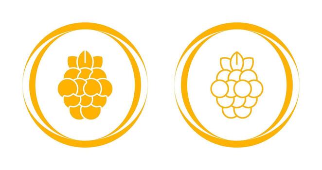 Raspberry Vector Icon