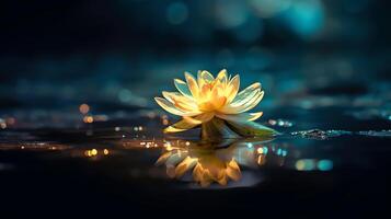 a yellow flower floating on top of a lake photo