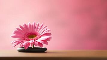 a pink flower sitting on top of a table photo