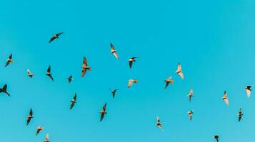 ai generativo aves volador en el azul cielo foto