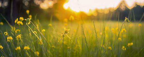 Tranquil spring summer nature closeup and blurred forest background. Generative AI photo