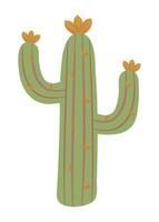 Cactus in boho style, color vector illustration of wild west