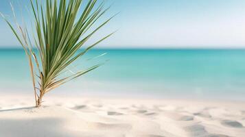 ai generativo blanco arena playa con un verde palma árbol foto