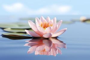 A floating lotus flower on the calm surface of a pond symbolizes the potential for transformation and spiritual growth through the practice of meditation and mindfulness. photo