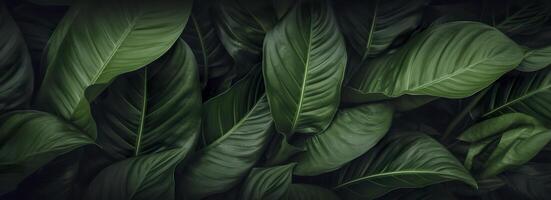 Abstract green leaf texture with nature background, tropical leaf. Generative AI photo