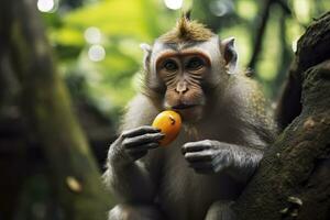 Close up of monkey eating fruit in the jungle. Generative AI photo