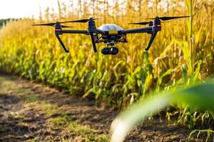 Drone monitoring crops and smart agriculture in a digital farming. photo