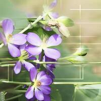 Purple flowers, green leaves and stems,spring sunshine. AI Generative photo