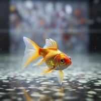 Beautifully colored goldfish swim in the clear aquarium water. 3d animation swimming goldfish.  AI Generative photo