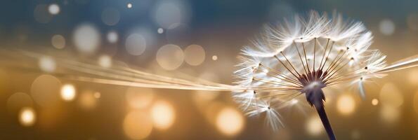 Abstract blurred nature background dandelion seeds parachute. Bokeh pattern. Generative AI photo