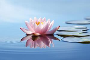 A floating lotus flower on the calm surface of a pond symbolizes the potential for transformation and spiritual growth through the practice of meditation and mindfulness. photo