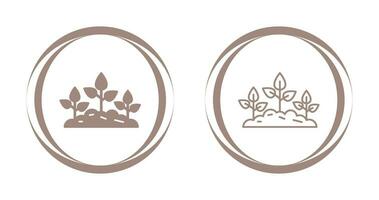 Plantation Vector Icon