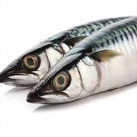 Raw mackerel fish isolated on white background. AI Generative photo