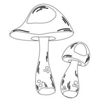 Mushroom continuous drawing. Mushroom continuous outline illustration. Vector minimalist linear illustration