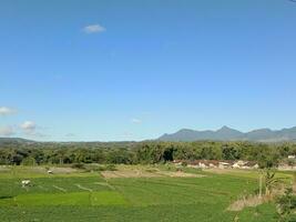 un ver de un arroz campo y montañas visto desde un colina foto