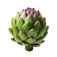 artichoke on white background png