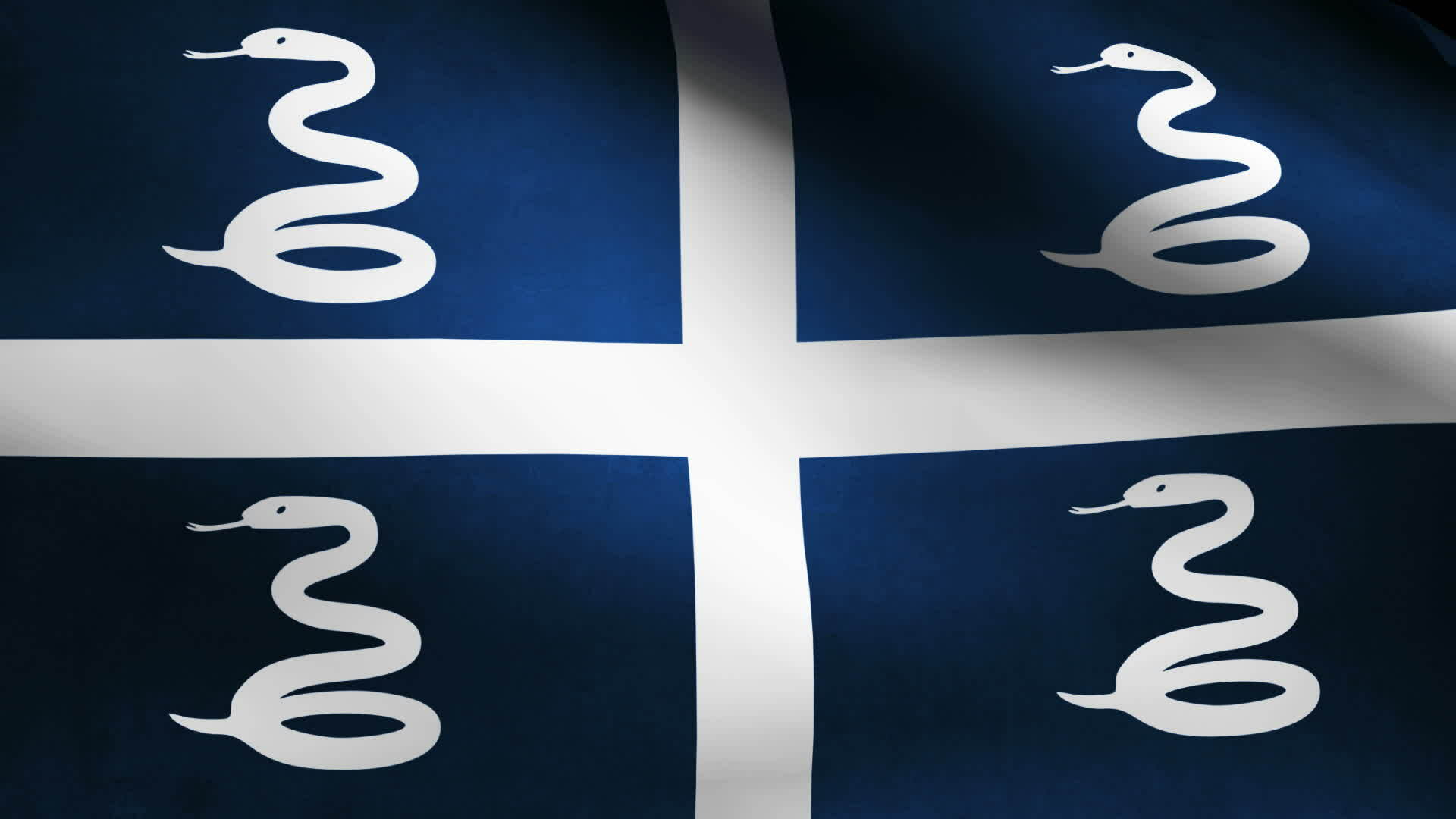 Martinique flag waving 28828186 Stock Video at Vecteezy