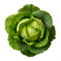 fresh cabbage on white background png