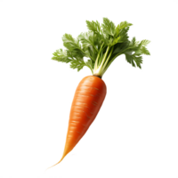 fresh carrot on white background png