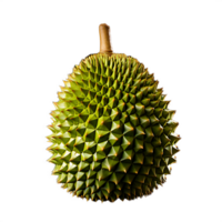 fruit de durian frais png