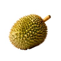 fresh durian fruit png