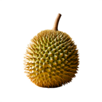 fresh durian fruit png